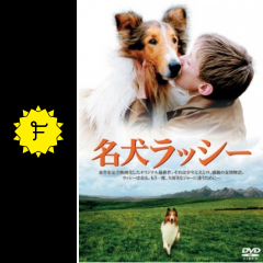 名犬ラッシー 映画情報 レビュー 評価 あらすじ 動画配信 filmarks映画