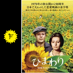 ひまわり ネタバレ 内容 結末 Filmarks映画