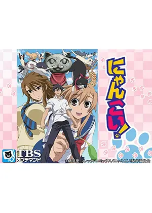 にゃんこい アニメ情報 レビュー 評価 あらすじ 動画配信 Filmarksアニメ