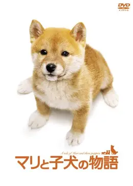 16386