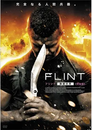 Flint フリント 無敵の男 映画情報 レビュー 評価 あらすじ 動画配信 Filmarks映画