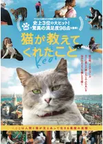 猫が教えてくれたこと