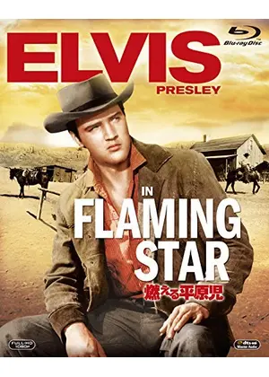 燃える平原児 映画情報 レビュー 評価 あらすじ Filmarks映画