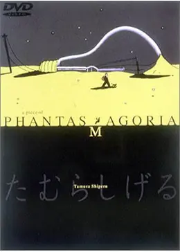 27161