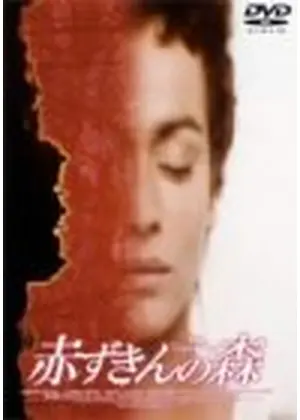 赤ずきんの森 映画情報 レビュー 評価 あらすじ Filmarks映画