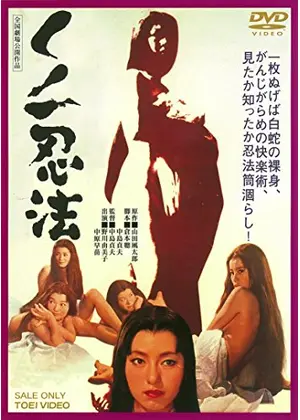 くノ一忍法 映画情報 感想 評価 ネタバレなし Filmarks映画