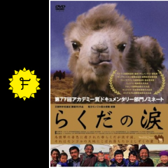 らくだの涙 映画情報 レビュー 評価 あらすじ Filmarks映画