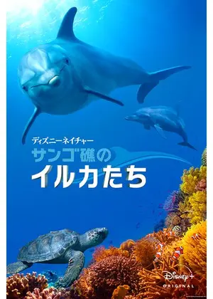 ディズニーネイチャー サンゴ礁のイルカたち 映画情報 レビュー 評価 あらすじ 動画配信 Filmarks映画