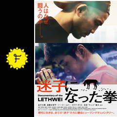迷子になった拳 ネタバレ 内容 結末 Filmarks映画