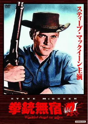 拳銃無宿 ドラマ情報 レビュー 評価 あらすじ Filmarksドラマ
