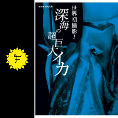 劇場版 Nhkスペシャル 世界初撮影 深海の超巨大イカ 映画情報 レビュー 評価 あらすじ Filmarks映画 劇場版 Nhkスペシャル 世界初撮影 深海の超巨大イカ 映画情報 レビュー 評価 あらすじ Filmarks映画