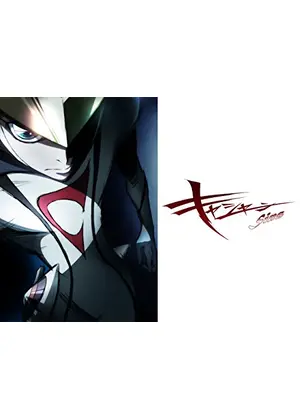 キャシャーン Sins アニメ情報 レビュー 評価 あらすじ 動画配信 Filmarksアニメ