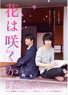 Hanawa poster1117