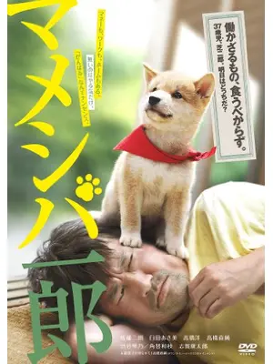 マメシバ一郎 3D