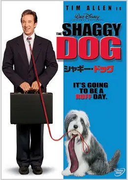12549
