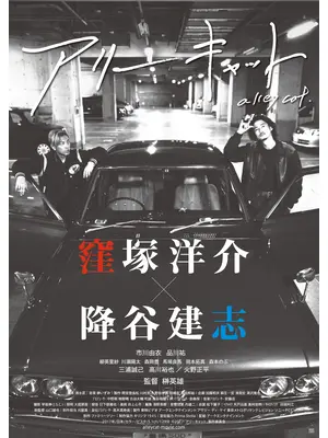 アリーキャット