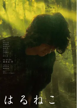 70503