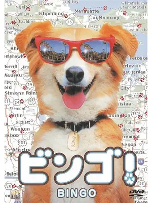 奇跡の旅2 サンフランシスコの大冒険 Homeward Bound Ii Lost In San Francisco Japaneseclass Jp