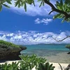 リリィ