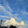 あかり