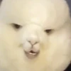 のりりん