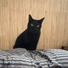やまみ38