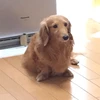 れい