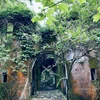 りんじん