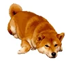 ぱん