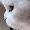 たくう