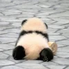 たつろう