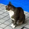 とが