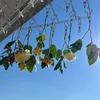 なみすけ
