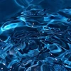 suu