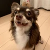 Ringo