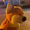 リ