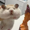 もとち