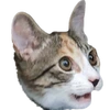 パプコ