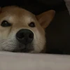kimu