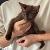 ひろゆき