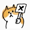 x