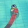 おそばにくまん