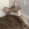 るるみちゃん
