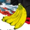 ＵＤＡ