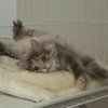 たくぼう
