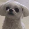 userglLeys9pfUG