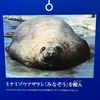 脳みそ寿司