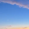 ちゃのめ