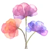 ponpocopi