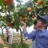 こもり